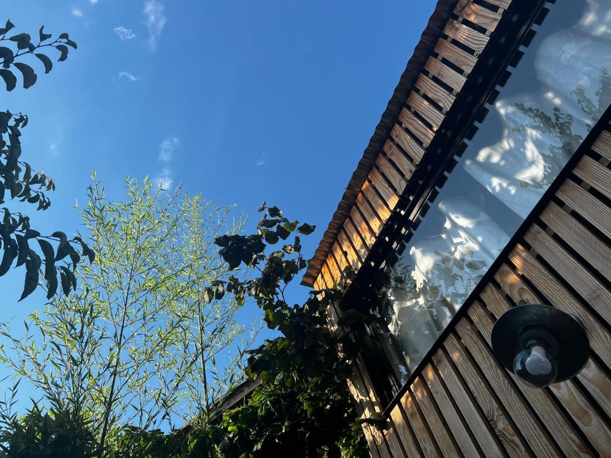 La Cabane Du 375, Piscine Clim,Jacuzzi Et Insolite Saint-Jean-de-Moirans Bagian luar foto